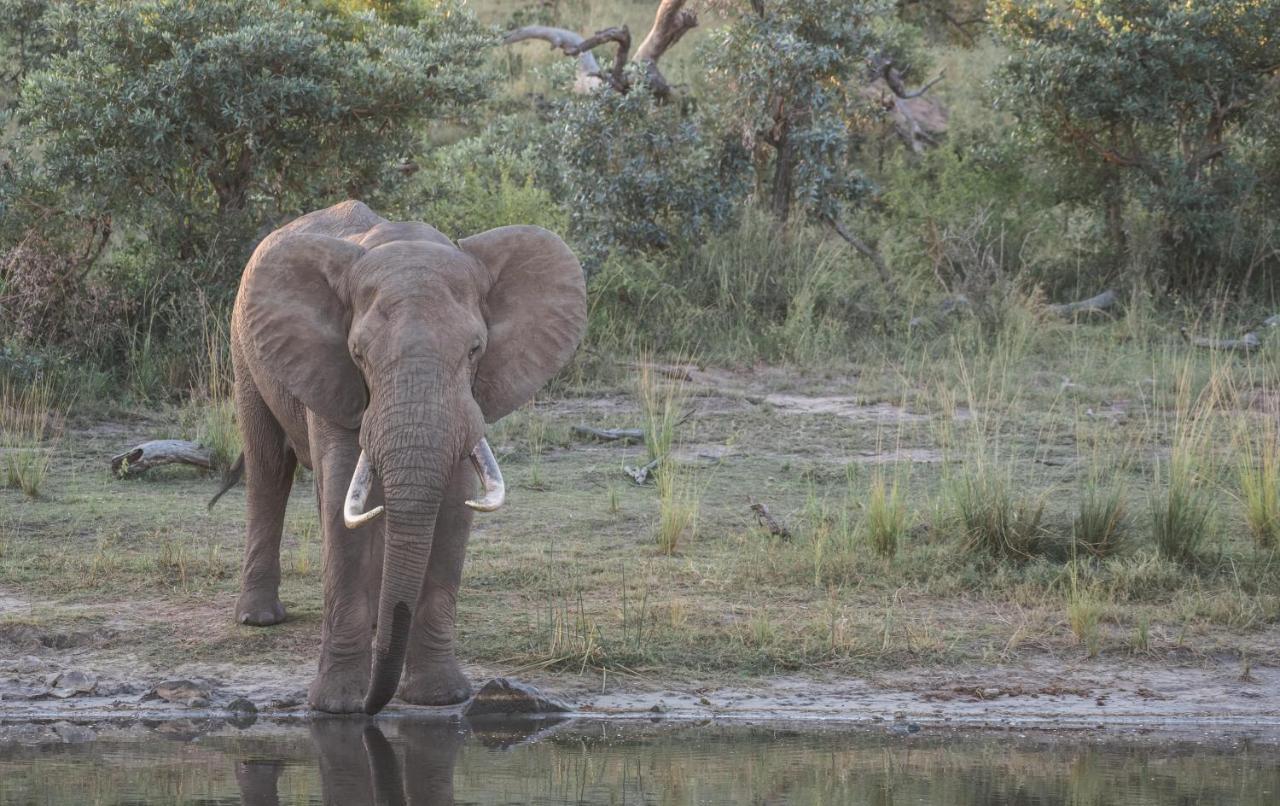 Tamboti River Lodge Hectorspruit Экстерьер фото